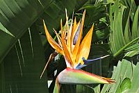 IMG 3518
