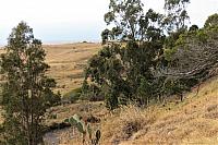 IMG 3520