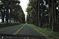 IMG 3522