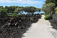 IMG 3634