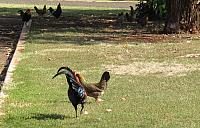 IMG 3693