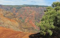 IMG 3710