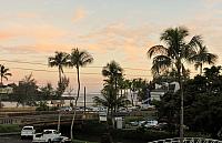 IMG 3861