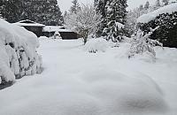 IMG 3895