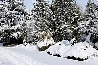 IMG 3898