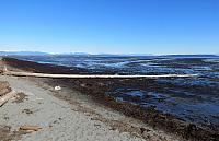 IMG 3922