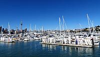 IMG 4145