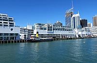 IMG 4147