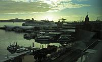 IMG 4184