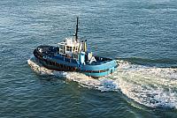 IMG 4237