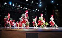 IMG 4624