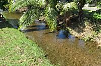 IMG 4407