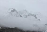 IMG 5381