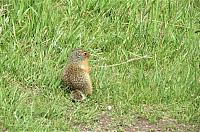 IMG 5427