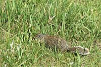 IMG 5428