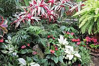 IMG 5518