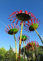 IMG 5608