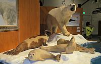 IMG 5683