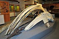 IMG 5685