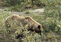 IMG 5884