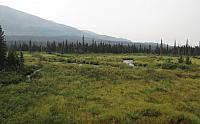 IMG 5946