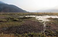 IMG 5984