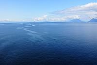 IMG 6100