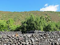 IMG 6548
