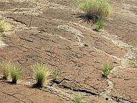 IMG 6588