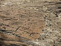 IMG 6603
