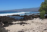 IMG 6619
