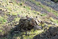 IMG 7437