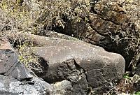 IMG 7461