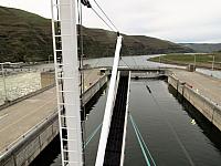 IMG 7493