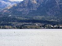 IMG 7550