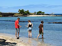 IMG 7724