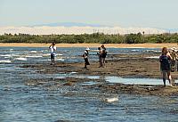 IMG 7734 (2)