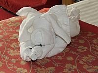 IMG 7873