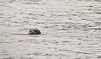 IMG 8090 (2)
