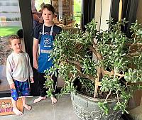 IMG 0640 - frame at 0m1s