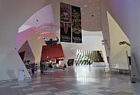 IMG 8548