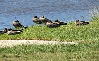 IMG 8636 (2)