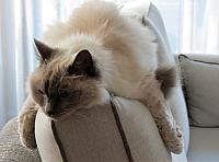 IMG 8871