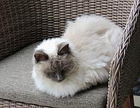 IMG 9193