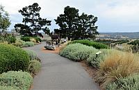 IMG 9197