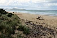IMG 8986