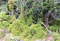 IMG 8989