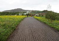 IMG 9867
