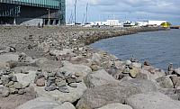 IMG 9935