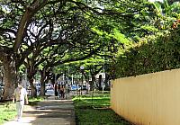 IMG 0354